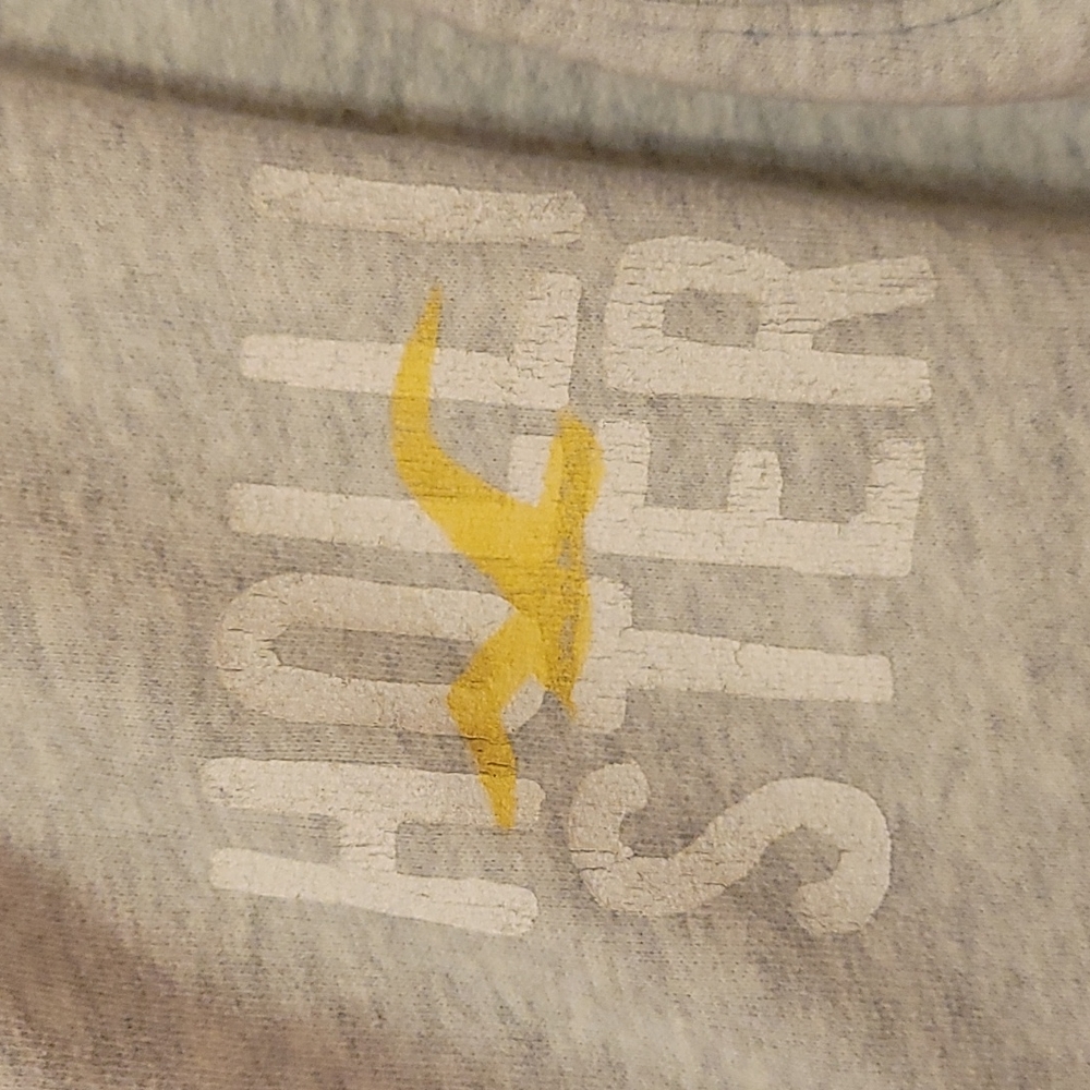 Great Condition Double Zipper Hollister Hoodie - Picture 2 of 8